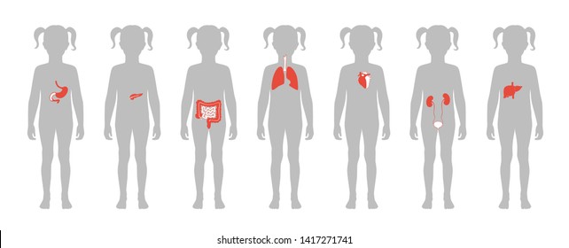 Vector isolated illustration of child internal organs in girl body. Stomach, liver, intestine, bladder, lung,  uterus, spine, pancreas, kidney, heart, bladder icon. Donor medical poster 