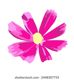 Vector isolated illustration of cosmea flower on white background.