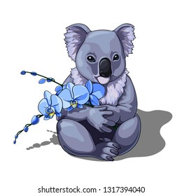 Vector isolated illustration of a cute coala holding blue orchids