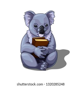 Vector isolated illustration of a cute coala wearing glasses and holding books