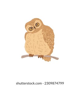 Vector isolated illustration of cute curious owlet sitting on a branch. Cartoon character wild forest birds on white background