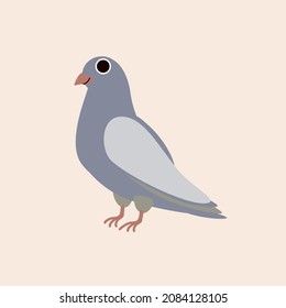 Vector isolated illustration with cute dove in flat simple style on beige background. Children's bright color picture, hand-drawn print. A collection of cartoon kind, funny, smiling animals and birds