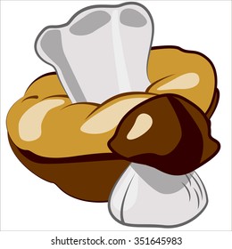Vector isolated illustration, cute edible mushrooms. 