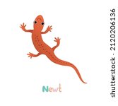 Vector isolated illustration with cute orange newt, lizard in flat style, white background. Children