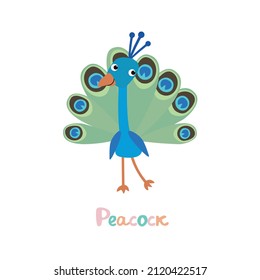 Vector isolated illustration with cute peacock, bird in flat style on white background. Children's bright color picture, hand-drawn print. Cheerful cartoon alphabet, сhildren's education, animal name