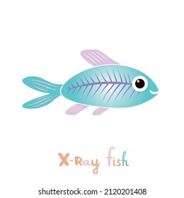 Vector isolated illustration with cute x-ray fish in flat style on white background. Children's bright color picture, hand-drawn print. Cheerful cartoon alphabet, сhildren's education, animal name.