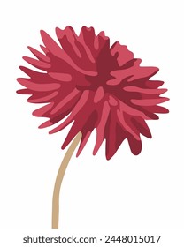 Vektorgrafik isolierte Illustration der Dahlienblüte auf einem weißen Hintergrund.