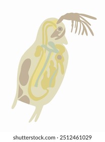 Ilustração isolada em vetor de Daphnia ao microscópio sobre fundo branco.