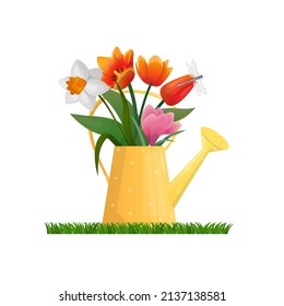 Vector isolated illustration with a decorative garden watering can, in which tulips, narcissus, crocus flowers grow. There is a dragonfly on the leaf. Concept of gardening, spring time, garden design.