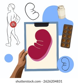 Vektorgrafik der Diagnose von Nierenschmerzen.Nierensteine. Schmerzen und Beschwerden in den Nieren. Nierenerkrankungen. Diagnose des Harnsystems.	