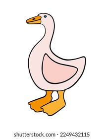 Vector isolated illustration of domestic fowl goose.