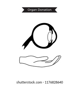 Vector Isolated Illustration Of Eye Anatomy. Human Ocular System Icon. Healthcare Medical Center, Surgery, Hospital, Clinic, Diagnostic Logo. Internal Donor Organ Symbol Poster Design. Donation