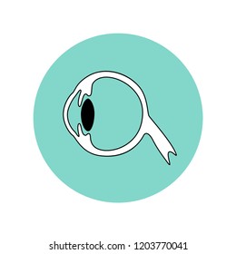 Vector Isolated Illustration Of Eye Anatomy. Human Ocular System Icon. Healthcare Medical Center, Surgery, Hospital, Clinic, Diagnostic Logo. Internal Donor Organ Symbol Poster Design. Donation