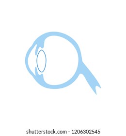 Vector Isolated Illustration Of Eye Anatomy. Human Ocular System Icon. Healthcare Medical Center, Surgery, Hospital, Clinic, Diagnostic Logo. Internal Donor Organ Symbol Poster Design. Donation