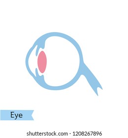 Vector Isolated Illustration Of Eye Anatomy. Human Ocular System Icon. Healthcare Medical Center, Surgery, Hospital, Clinic, Diagnostic Logo. Internal Donor Organ Symbol Poster Design. Donation