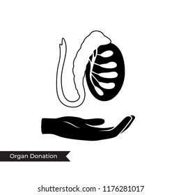 Vector isolated illustration of female donor reproductive system anatomy. Uterus, cervix, ovary, fallopian tube icon with hand. Woman medical center, hospital, clinic logo. Donation concept design. 