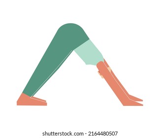 Vektorgrafik einzeln mit flachem weiblichem Charakter. Sportliche Frau lernt Adho Mukha Svanasana in der Yoga-Klasse. Fitnessübung - nach unten gerichteter Hund