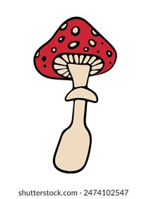 Vector isolated illustration of fly agaric on a white background.