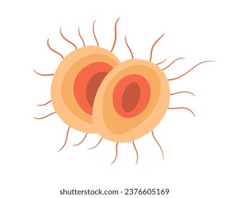 Vektoreinzelne Illustration des Gonorrhoenpathogens unter einem Mikroskop. Gonorrhoe-Bakterien. С auslösende Substanz der Gonorrhoe.