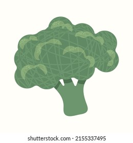 Vector isolated illustration of green broccoli with texture.