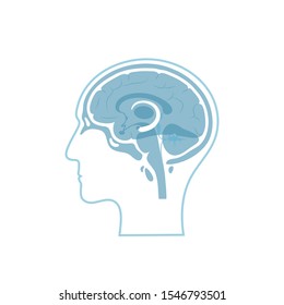 Vector isolated illustration of Hippocampus in man head. Human brain components detailed anatomy. Medical infographics for poster, educational, science and medical use. Sagittal view of the brain