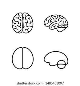 Vector isolated illustration of human brain anatomy: cerebrum and cerebellum. Brain structure Medical infographics for poster, educational, science and medical use.