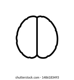 Vector isolated illustration of human brain anatomy. Brain structure Medical infographics for poster, educational, science and medical use. Biological icon or logo