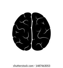Vector isolated illustration of human brain anatomy. Brain structure Medical infographics for poster, educational, science and medical use. Biological icon or logo