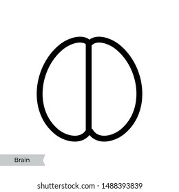 Vector isolated illustration of human brain anatomy. Brain structure Medical infographics for poster, educational, science and medical use. Biological icon or logo