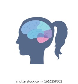 Vector isolated illustration of human brain anatomy. Occipital, frontal, parietal and temporal lobe. Medical infographics for poster, educational, science and medical use, Biological icon or logo.