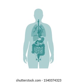 Vector isolated illustration of human internal organs in obese male body. Stomach, liver, intestine, bladder, lung, uterus, spine, pancreas, kidney, heart, bladder icon. Medical poster 