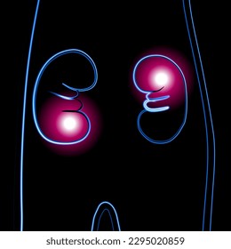 Vector isolated illustration of human kidney with neon effect. Kidney stones. Pain and discomfort in the kidneys. Kidney diseases. Diagnosis of the urinary system.