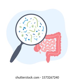 Vector Isolated Illustration Of Human Microbiota. Probiotics - Good Beneficial Bacteria. Lactobacillus, Bifidobacteria, Streptococcus, Intestine Icon. Medical Infographics 