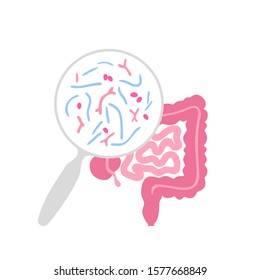 Vector isolated illustration of human microbiota. Probiotics - good beneficial bacteria. Lactobacillus, bifidobacteria, streptococcus, intestine icon. Medical infographics 