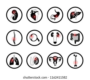 Vector isolated illustration of human organs for transplantation. Stomach, liver, bone, intestine, bladder, lung, testicle, uterus, spine, eye, pancreas icon. Internal donor organ. Medical poster 