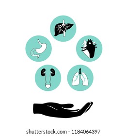 Vector isolated illustration of human organs for transplantation. Stomach, liver, bone, intestine, bladder, lung, testicle, uterus, spine, eye, pancreas icon. Internal donor organ. Medical poster 