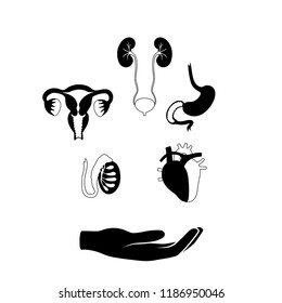 Vector isolated illustration of human organs for transplantation. Stomach, liver, bone, intestine, bladder, lung, testicle, uterus, spine, eye, pancreas icon. Internal donor organ. Medical poster 