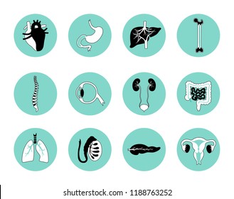 Vector isolated illustration of human organs for transplantation. Stomach, liver, bone, intestine, bladder, lung, testicle, uterus, spine, eye, pancreas icon. Internal donor organ. Medical poster 