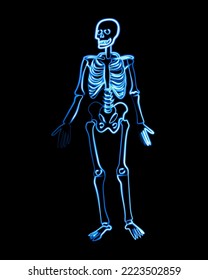 Vector isolated illustration of human skeleton with neon effect.