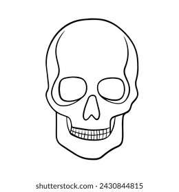 Vector isolated illustration of human skull for Day of the Dead in Mexico.	