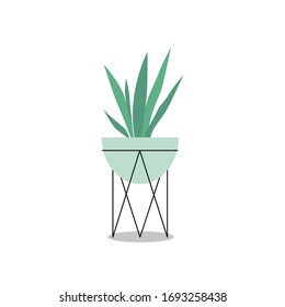 Vector isolated illustration of an indoor plants. Home interior. Houseplants set in a flat design style. Home plants with stands in modern style.