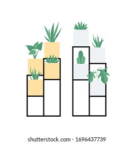 Vector isolated illustration of an indoor plants. Home interior. Houseplants set in a flat design style. Home plants with stands in modern style.