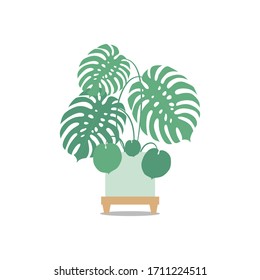 Vector isolated illustration of an indoor plants. Home interior. Houseplants set in a flat design style. Home plants with stands in modern style.