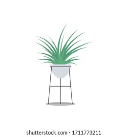 Vector isolated illustration of an indoor plants. Home interior. Houseplants set in a flat design style. Home plants with stands in modern style.