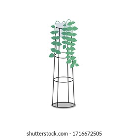Vector isolated illustration of an indoor plants. Home interior. Houseplants set in a flat design style. Home plants with stands in modern style.