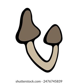 Vector isolated illustration of inedible mushrooms on a white background.