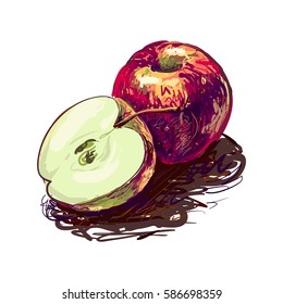 Vector isolated illustration of juicy apples made in sketchy style. Fresh healthy food. Organic fruits. Sweet, tasty, natural. Freehand drawing.