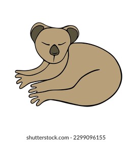 Vector isolated illustration of a koala on a white background.
