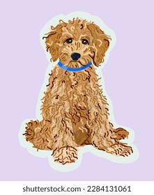 Vector isolated illustration of labradoodle. Cute domestic dog. svg