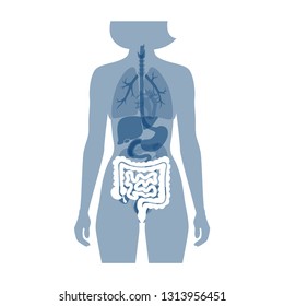 Vector isolated illustration of large and small intestine anatomy in male body. Human digestive system icon. Healthcare medical center, surgery, hospital, clinic logo. Internal organ symbol design. 